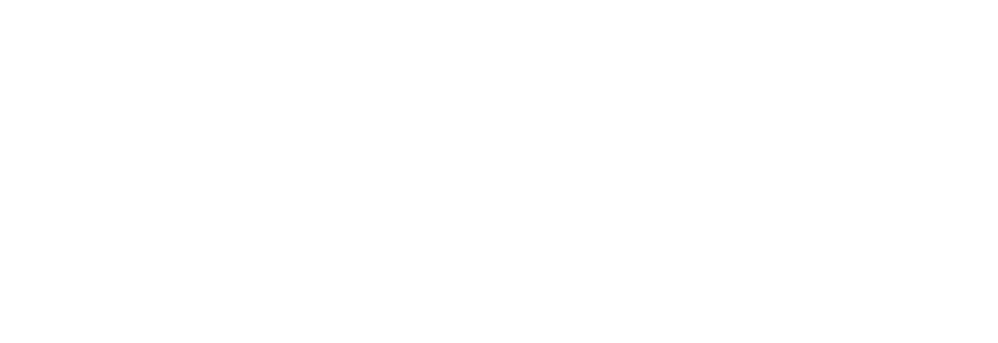 Sap Consultant